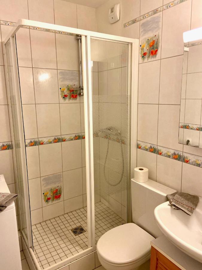 Studio Le Pied De Boeuf Wissembourg Dış mekan fotoğraf